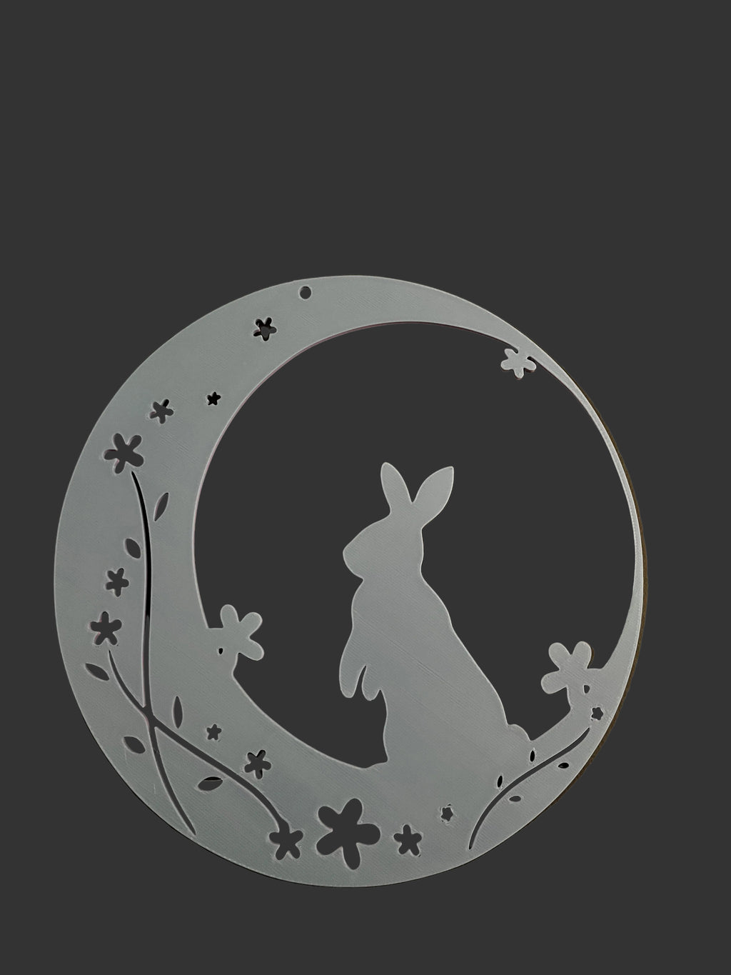 Wall rabbit