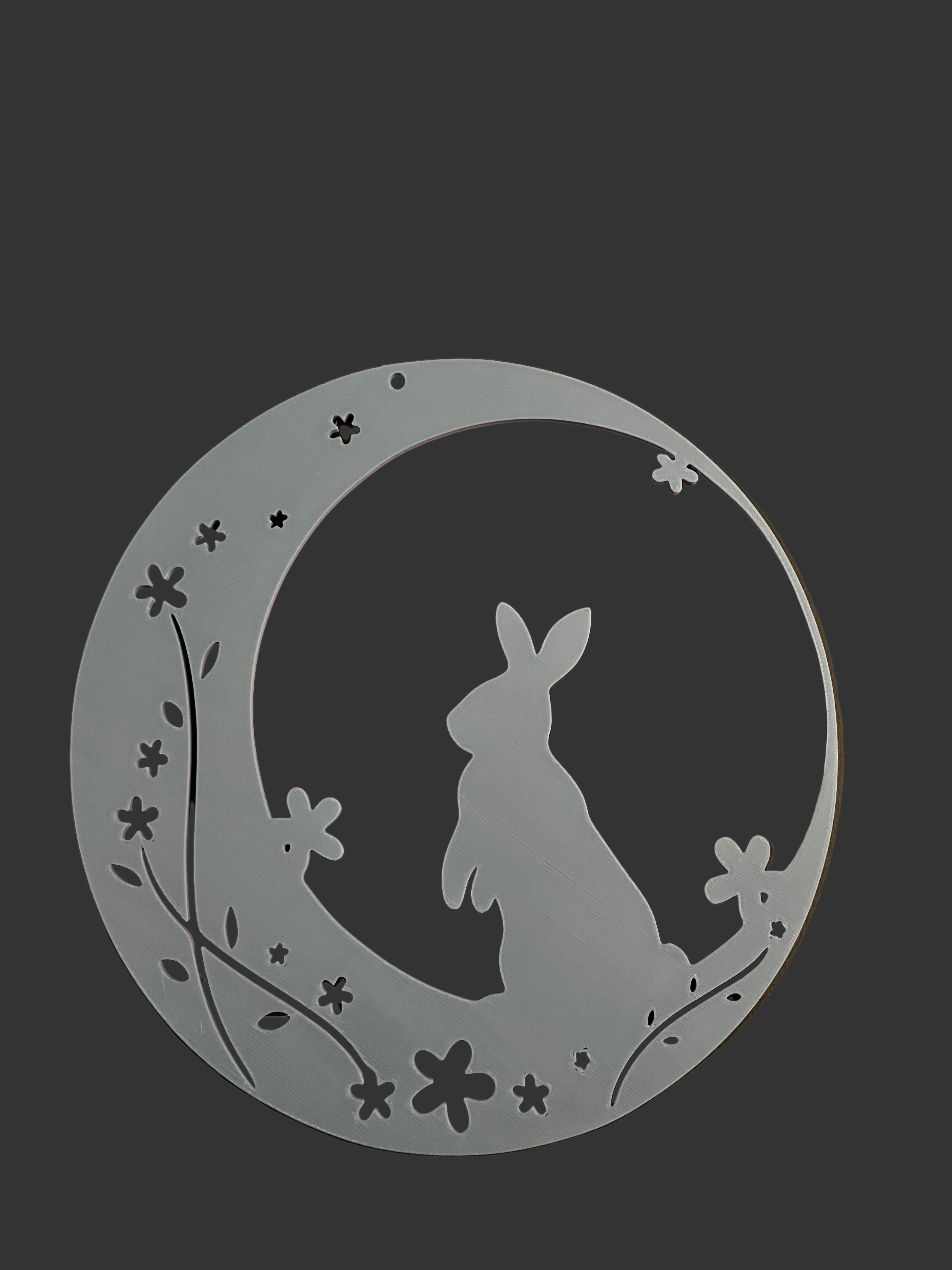 Wall rabbit